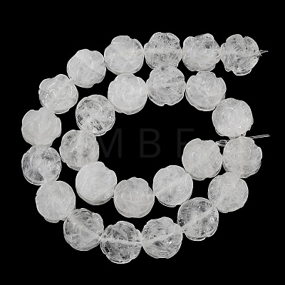 Natural Quartz Crystal Beads Strands G-B065-B12-1