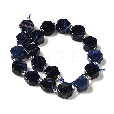 Natural Sodalite Beads Strands G-P534-A11-01-1