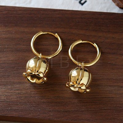 Brass Hoop Earrings for Women WG021FE-01-1