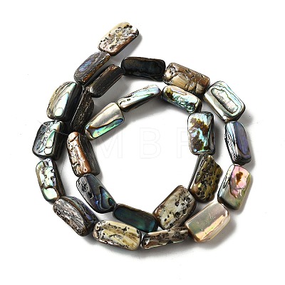 Natural Abalone Shell/Paua Shell Beads Strands BSHE-D300-01B-1