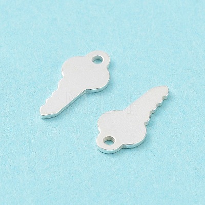 925 Sterling Silver Charms STER-F053-03S-1