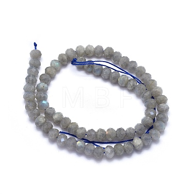 Natural Labradorite Beads Strands G-O170-59C-1