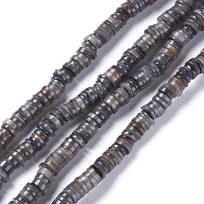 Natural Freshwater Shell Beads Strands BSHE-I016-04A-1