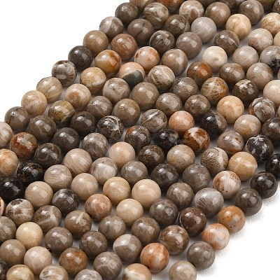 Natural Fossil Coral Beads Strands G-C288-A01-6mm-1