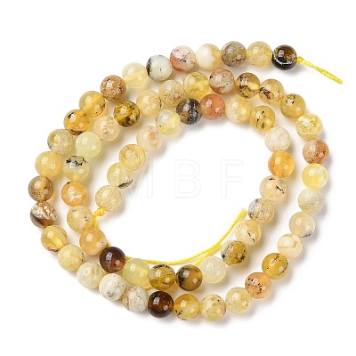 Natural Yellow Opal Beads Strands G-Q1001-A02-01-1