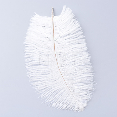 Ostrich Feather Costume Accessories FIND-R036-A-16-1