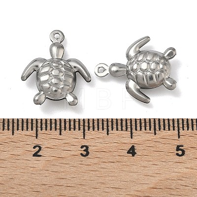 304 Stainless Steel Charms STAS-P433-14B-P-1