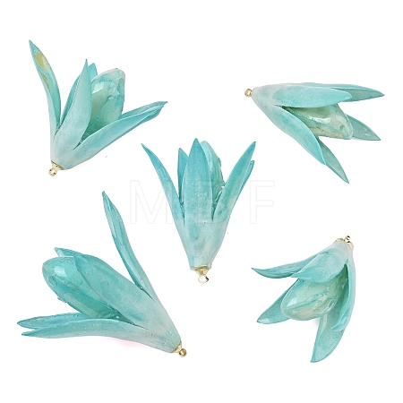 Epoxy Resin & Dried Flower Pendants RE-CBAAE94-05G-1