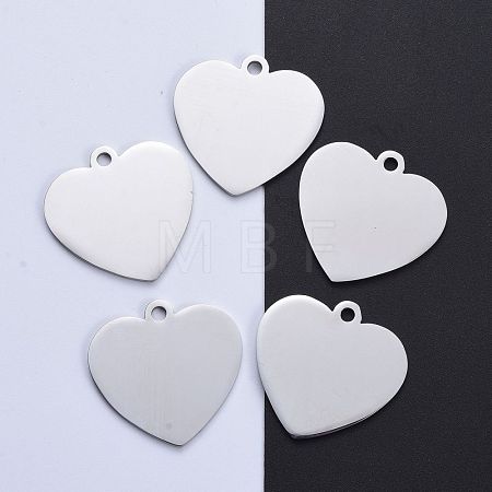 Tarnish Resistant 304 Stainless Steel Pendants STAS-I140-10B-S-1