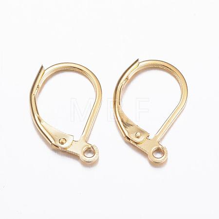 304 Stainless Steel Leverback Earring Findings X-STAS-P166-12G-1