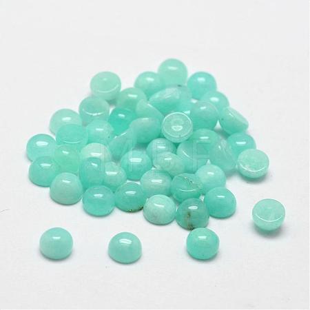 Dome/Half Round Natural Amazonite Cabochons G-O146-02A-1