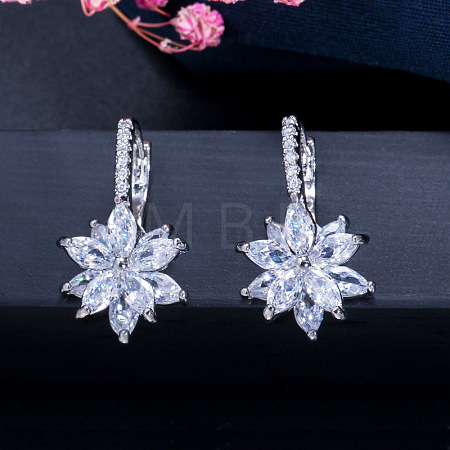 Brass Cubic Zirconia Hoop Earrings WGBE890-04-1