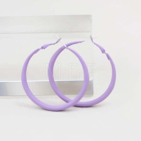 Spray Painted Alloy Hoop Earrings FS-WG43B6B-04-1
