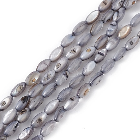 Natural Freshwater Shell Dyed Beads Strands X-SHEL-M018-13-04-1