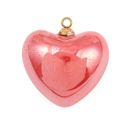 304 Stainless Steel Resin Pendants STAS-K322-10A-01-1