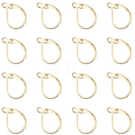 Brass Leverback Earring Findings KK-PH0026-22G-RS-1