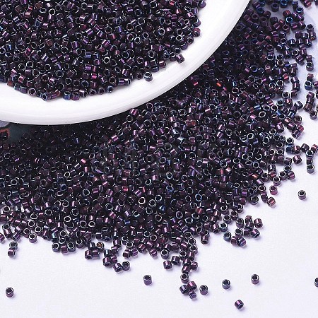 MIYUKI Delica Beads X-SEED-J020-DB1004-1