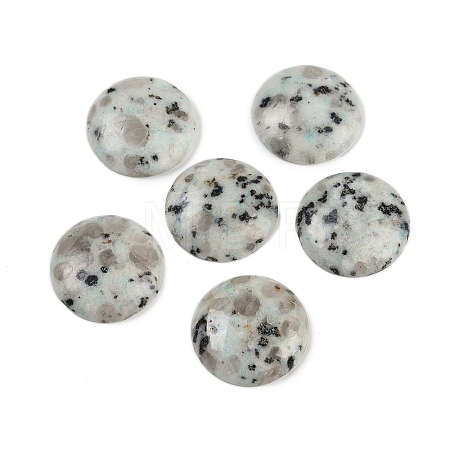 Natural Sesame Jasper Cabochons G-H1596-FR-25mm-14-1