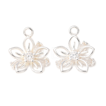 Brass Micro Pave Clear Cubic Zirconia Charms CU-CBAEC99-22S-1
