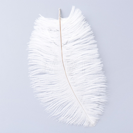 Ostrich Feather Costume Accessories FIND-R036-A-16-1