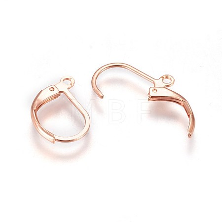 304 Stainless Steel Leverback Earring Findings STAS-E460-03RG-1