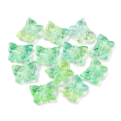 926Pcs Transparent Two Tone Acrylic Beads MACR-K359-17A-1