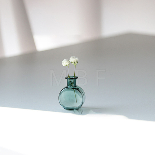 Transparent Miniature Glass Vase Bottles BOTT-PW0006-10D-1