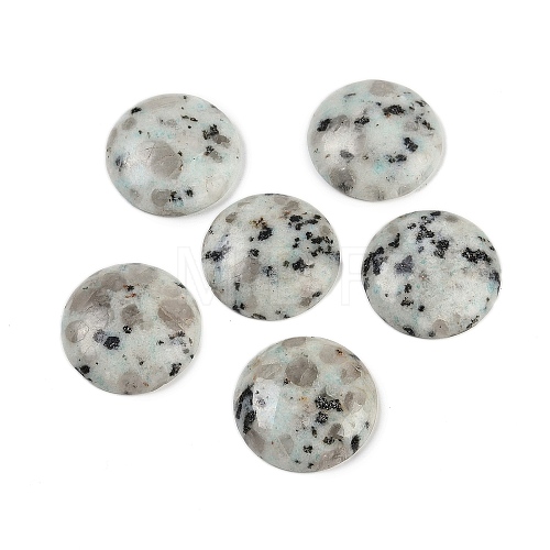 Natural Sesame Jasper Cabochons G-H1596-FR-25mm-14-1