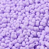 Glass Frosted Seed Beads SEED-K009-05B-04-3