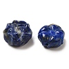 Natural Lapis Lazuli Carved Beads G-P550-05A-2