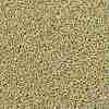 TOHO Round Seed Beads SEED-JPTR15-PF0559-2