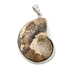 Snail Fossil Pendants G-D051-1-2