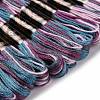 10 Skeins 6-Ply Polyester Embroidery Floss OCOR-K006-A27-2