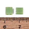 FGB 2-Hole Glass Seed Beads SEED-S031-L-124-3