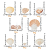 Natural Sea Shell Beads Kits SSHEL-PH0002-49-4