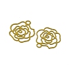 Spray Paint 430 Stainless Steel Charms STAS-C153-10B-2