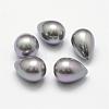 Rainbow Plated Shell Pearl Beads BSHE-L032-03-1