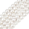 Electroplated Shell Pearl Beads Strands BSHE-G027-13B-2