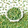 Glass Seed Beads SEED-T009-02K-1