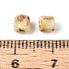 Baking Paint Glass Seed Beads SEED-N009-02E-3