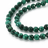Natural Malachite Beads Strands G-S361-4mm-001-3