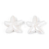 Handmade Porcelain Beads X-PORC-Q002-02E-01-2