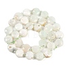 Natural Green Opal Beads Strands G-C116-A13-01A-4