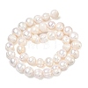 Natural Cultured Freshwater Pearl Beads Strands PEAR-L034-12G-4