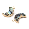 Natural Paua Shell Pendants SHEL-P017-24G-2