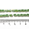 Electroplate Glass Beads Strands EGLA-D031-01-5