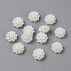 Resin Cabochons RB772Y-5-1