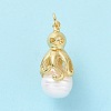 Shell Pearl Pendants KK-C004-10G-2