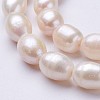 Natural Cultured Freshwater Pearl Beads Strands PEAR-P002-13-01-3