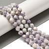 Natural Purple Turquoise Beads Strands G-K382-A09-02-2